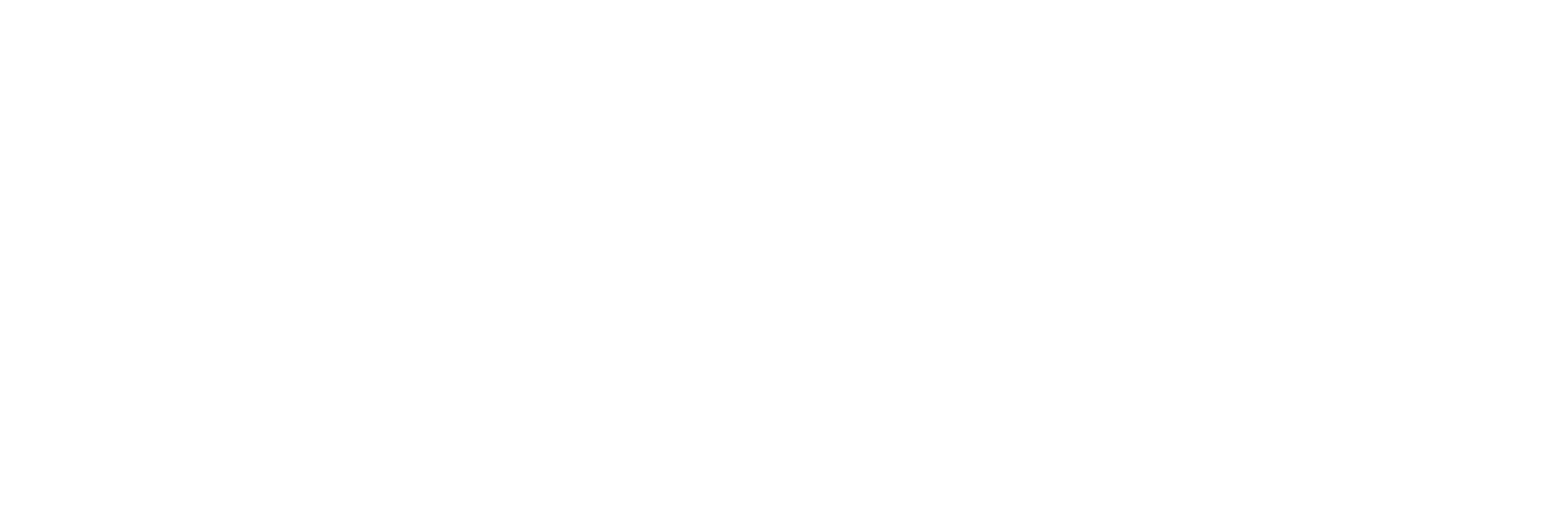 Logo Modinet